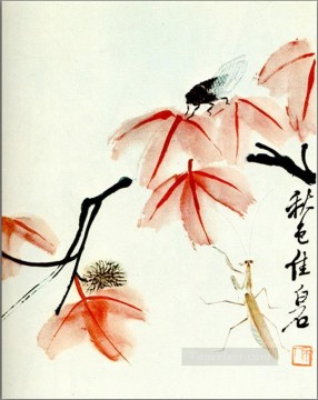 Qi Baishi likvidambra Taiwán y la cigarra tradicional china Pinturas al óleo